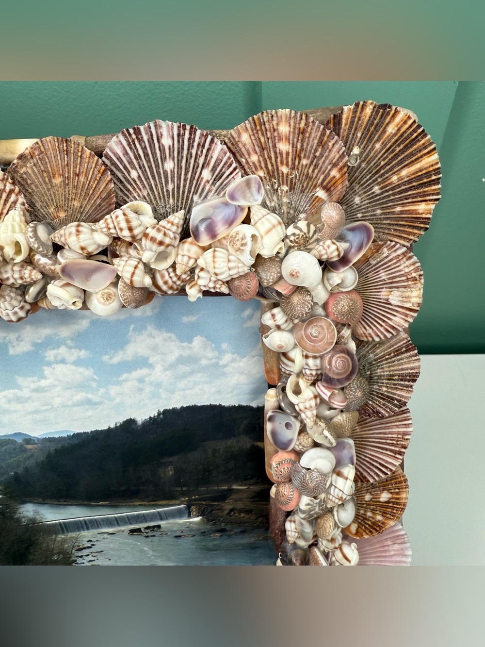 Seashell Shell Photo Picture Frame Natural Coastal Beachy Beach House Decor - Picture 7 of 16